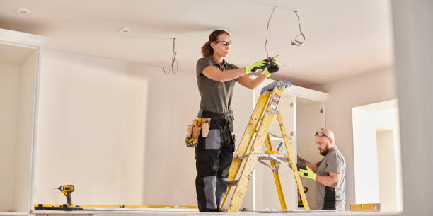 Best Electric Panel Repair  in Tarpon Springs, FL