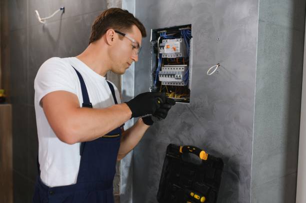 Best Electric Panel Repair  in Tarpon Springs, FL